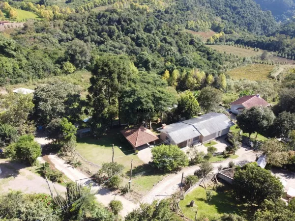Vale dos Vinhedos