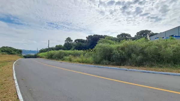 Tamandaré