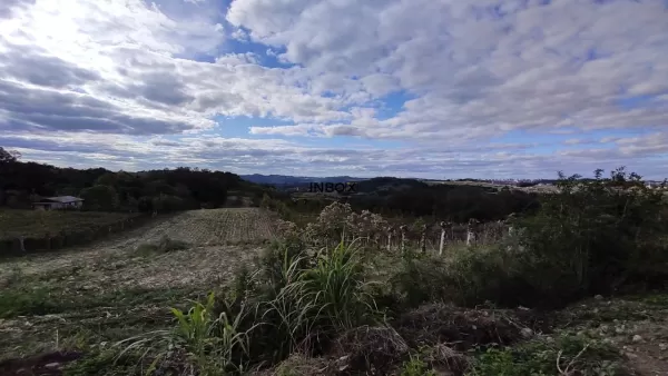 Vale dos Vinhedos