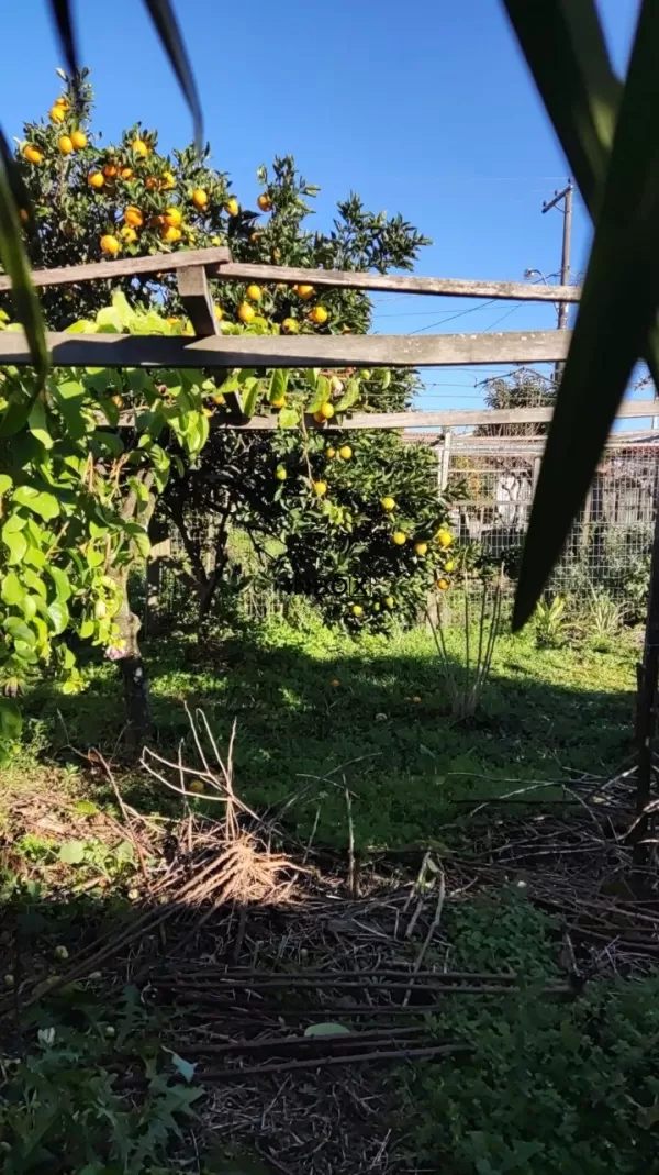 Foto de INBOX CIA IMOBILIÁRIA VENDE TERRENO NO BAIRRO SAO VENDELINO