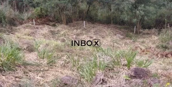 Foto de TERRENO NO BAIRRO FÁTIMA