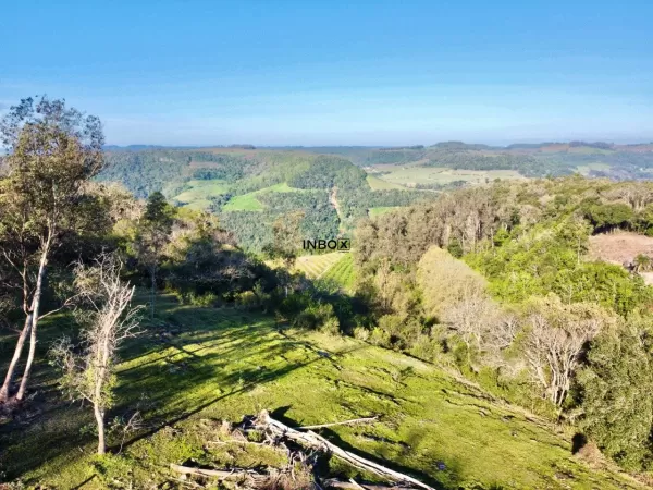 Foto de INBOX CIA IMOBILILIÁRIA VENDE EM PINTO BANDEIRA  -  Área de terras com 2 hectares em Pinto Bandeira.