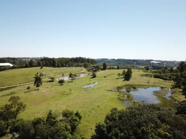 Foto de INBOX CIA IMOBILIÁRIA VENDE ÁREA DE TERRAS NO INTERIOR DE FARROUPILHA
