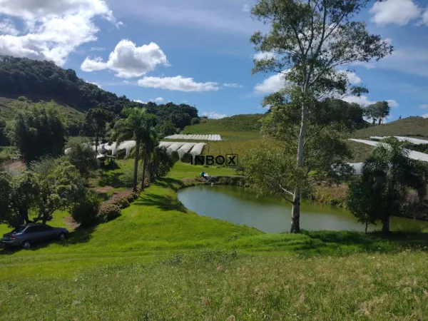 Caminhos de Pedra