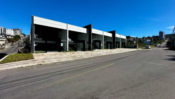 Universitário