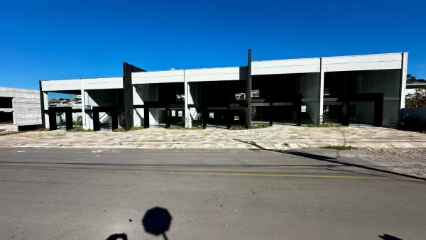 Universitário