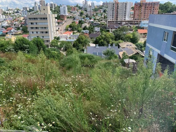 Foto de INBOX CIA IMOBILIÁRIA VENDE, TERRENO EM BENTO GONÇALVES NO BAIRRO UNIVERSITARIO.