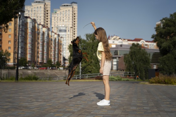 Regras para cachorro em condomínio: veja o que diz a lei e como manter a harmonia entre moradores e pets